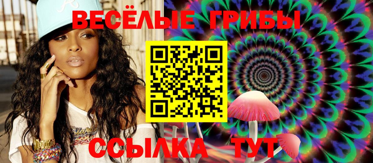 купить наркотик  Псилоцибиновые грибы Cubensis  Псилоцибиновые грибы мицелий  Вход с VPN  Великий Устюг 